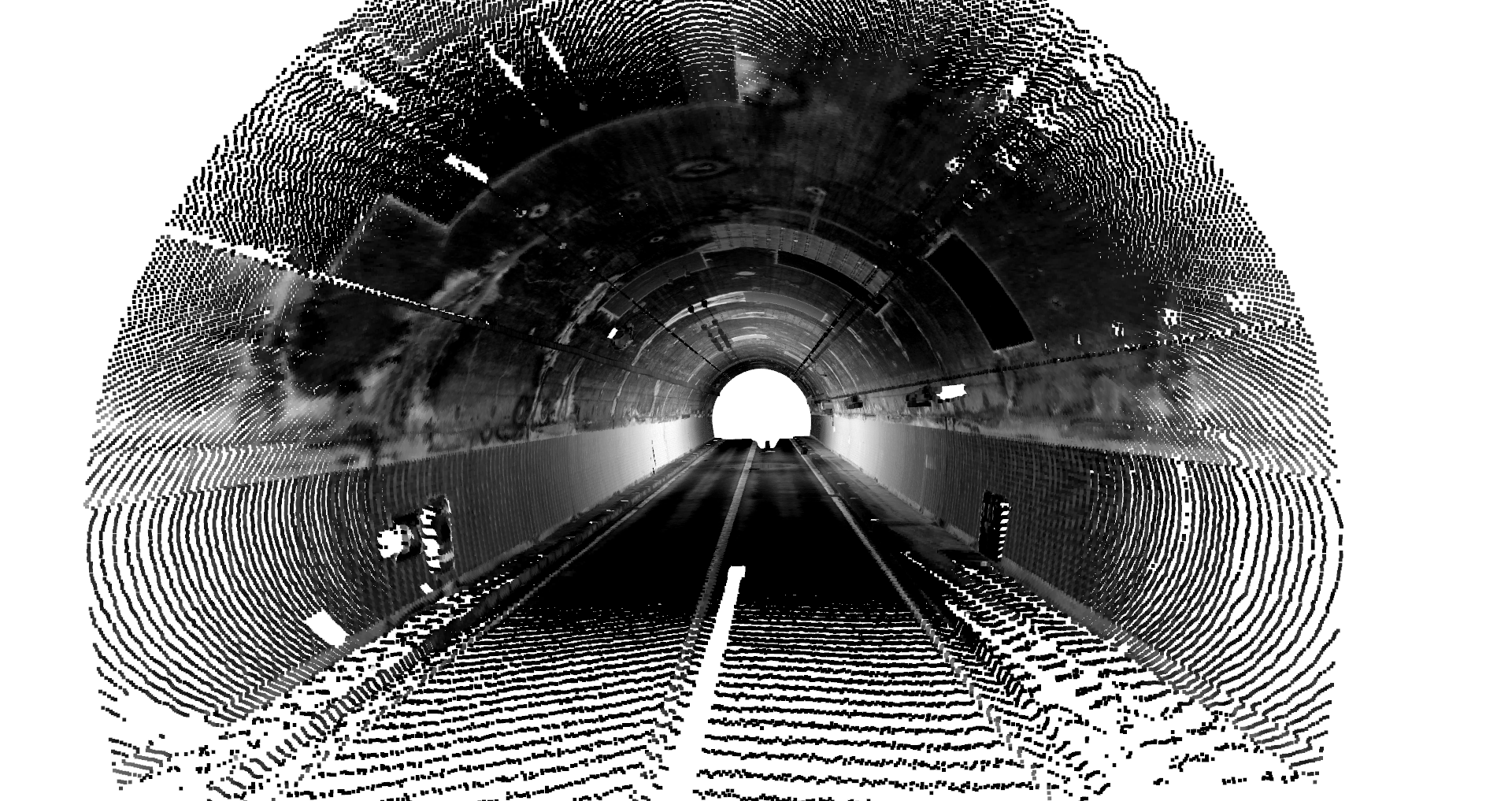 異物除去済み点群